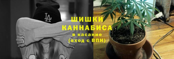 твердый Аркадак