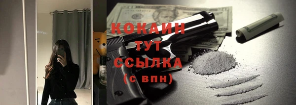 твердый Аркадак