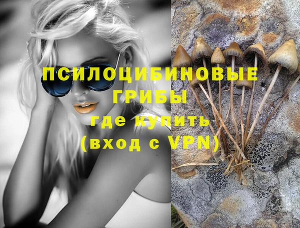 ECSTASY Армянск