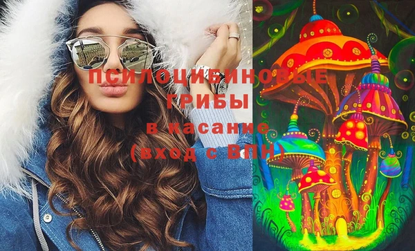 твердый Аркадак