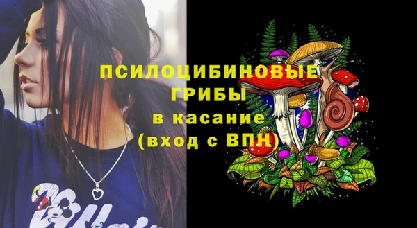 твердый Аркадак