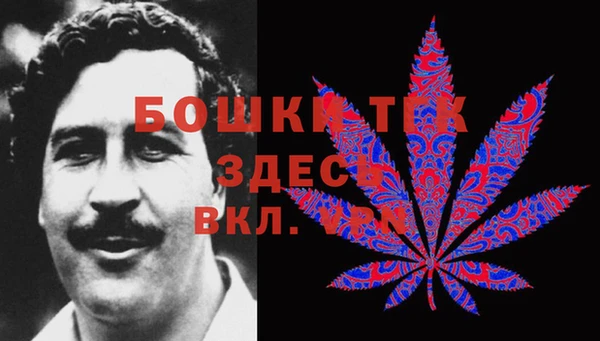ECSTASY Армянск