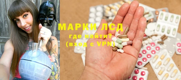 твердый Аркадак