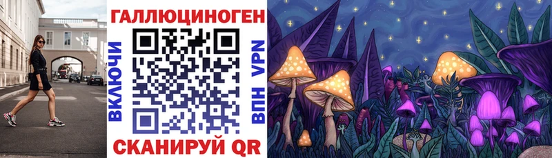 маркетплейс официальный сайт  Долгопрудный  Псилоцибиновые грибы ЛСД  купить  