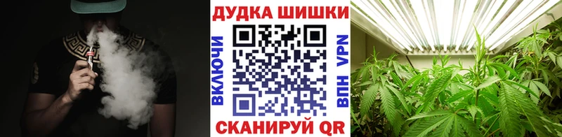 Бошки марихуана OG Kush  продажа наркотиков  Долгопрудный 